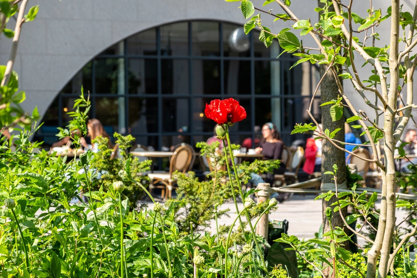 Norra Stationsparken, Klara Bäckström/Stockholms stad