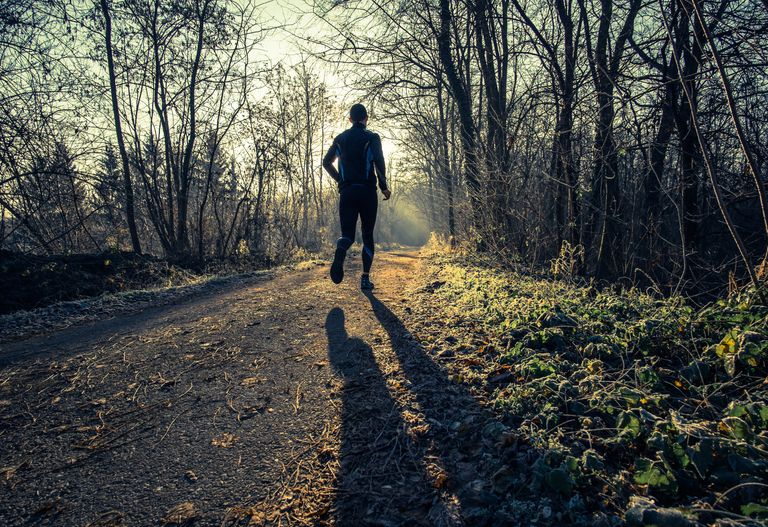 Person som springer på en solbelyst skogsstig tidigt på morgonen.